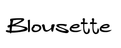 Blousette - logo